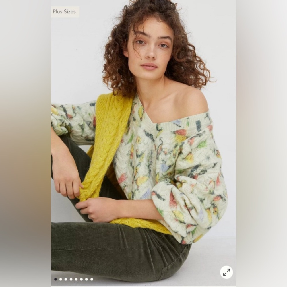 Anthropologie Cropped Sweater with Bird Print Size Small